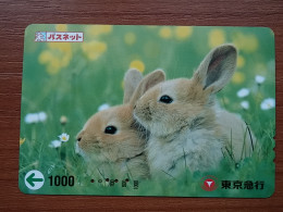 T-430 - JAPAN, Japon, Nipon, Carte Prepayee, Prepaid, Animal, Rabbit, Lapin - Lapins