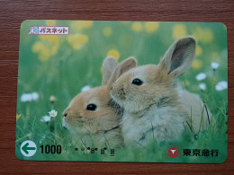 T-430 - JAPAN, Japon, Nipon, Carte Prepayee, Prepaid, Animal, Rabbit, Lapin - Rabbits