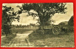 ST GENESIUS RODE - RHODE ST GENESE  -  Grande Espinette  -  Ferme Gabiel  - 1911  - - Rhode-St-Genèse - St-Genesius-Rode