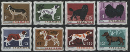 Bulgarien 1964 - Mi-Nr. 1462-1469 ** - MNH - Hunde / Dogs - Ungebraucht