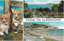 SCENES FROM LLANDUDNO, GWYNEDD, WALES. USED POSTCARD   Zf4 - Gwynedd