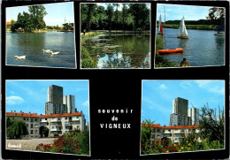 31-12-2023 (3 W 19) France  - Souvenir De Vigneux Sur Seine - Vigneux Sur Seine