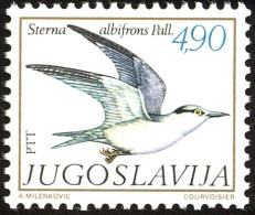 Yugoslavia 1980 (AVE191) (MNH)  (Mi 1836) - Little Tern (Sternula Albifrons) - Seagulls