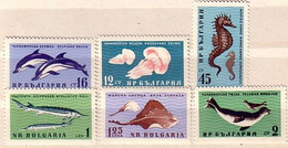1961 Fauna  FISH  (Pesci)     6 V.- MNH  BULGARIA  / Bulgarie - Ungebraucht