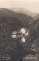 E1330) ST. GALLEN - Steiermark - Photo CARL HARRER 1926 - Sehr Schöne Haus DETAILS Im WALD 1927 - St. Gallen