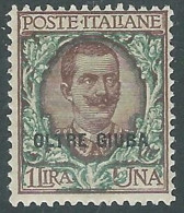 1925 OLTRE GIUBA EFFIGIE FLOREALE 1 LIRA MH * - I55-3 - Oltre Giuba