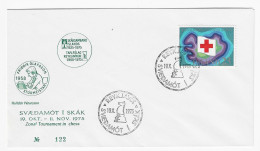 Iceland 1975 - Chess Cancel On Commemorative Envelope - Echecs