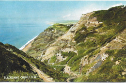 BLACKGANG CHINE, VENTNOR, ISLE OF WIGHT, ENGLAND. UNUSED POSTCARD    Ps2 - Ventnor