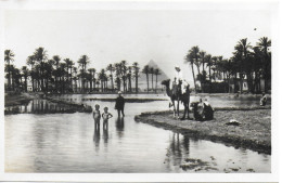 LANDSCAPE NEAR THE PYRAMIDS, EGYPT. UNUSED POSTCARD   Ms8 - Pyramides