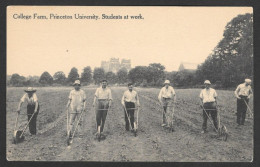 Princeton  New Jersey - C.P.A.  College Farm Princeton University, Students At Work - By Van Marter - Uncirculated - Altri & Non Classificati