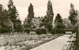 73833515 Kamenz Sachsen Rosengarten Am Lessinghaus Kamenz Sachsen - Kamenz