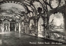 ITALIE - Mantoue - Palais Des Doges - La Salle Des Fleuves - Carte Postale Ancienne - Mantova
