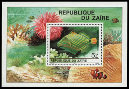 Kongo-Zaire 1980 - Mi-Nr. Block 38 ** - MNH - Fische / Fish - Ongebruikt