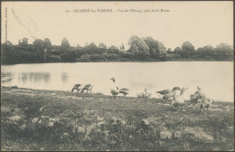 CPA - QUARRE-les-TOMBES - Vue De L'Etang, Prise De La Route - Quarre Les Tombes