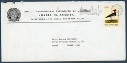 °°° Francobolli N. 1834 - Vaticano Busta Viaggiata Fuori Formato °°° - Covers & Documents
