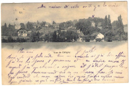 Suisse - Genève - Céligny - Vue De Céligny - Ambulant N°3 - Carte Postale Pour Caluire-et-Cuire (France) - 8 Août 1903 - Céligny