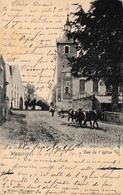 Wasseiges Vue De L’église Attelage De Vaches 1903 - Wasseiges