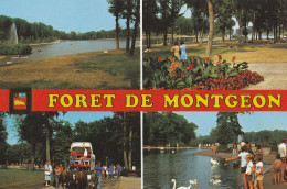 76 - Le Havre  -  Forêt De Montgeon  -  Multivues - Forêt De Montgeon