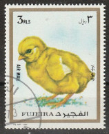 Fujeira 1972 Bf. 121B Uccelli Birds  Chicken (Gallus Gallus Domesticus) CTO - Hoendervogels & Fazanten