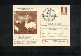 Romania 1978 Swan + Owl Interesting Cover - Zwanen