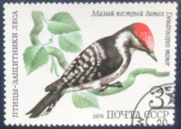 Noyta - CCCP- USSR - C1/40 - 1979 - (°)used - Michel 4884 - Bosvogels - Usati