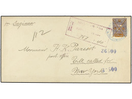 REPUBLICA DOMINICANA. 1891. SANTO DOMINGO A NEW YORK. Entero Postal De Tamaño Grande (186 X 95 Mm.) De 1 Peso S. 25 Cts. - Andere & Zonder Classificatie