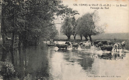 Combs La Ville * Vue Sur Le Breuil * Passage Du Gué * Pâturages - Combs La Ville