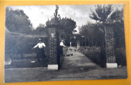 ZAFFELARE -  SAFFELAERE - Pensionnat Des Soeurs De La Charité -  Allée St Joseph - Lochristi