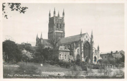 United Kingdom England Worcester Cathedral - Worcester