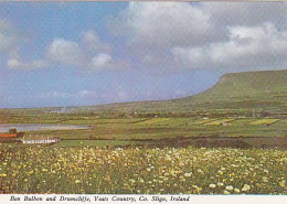 AK 192373 IRELAND - Co. Sligo - Yeats Country - Ben Bulben Amd Drumcliffe - Kerry