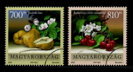HUNGARY - 2023. Specimen - Hungarian Fruits / Cherry And Pear MNH!!! - Probe- Und Nachdrucke