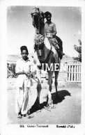 Camel Transport - Karachi - Pakistan - Pakistan