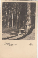 E1740) Materl Im PICHLSCHLOßWALD Bei  NEUMARKT - Mariahoferkirche - Steiermark - ALT ! 1942 - Neumarkt