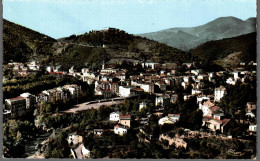 CPSM 9x14 - AMELIE Les BAINS - Vue Générale (CIM N° 1000) - Amélie-les-Bains-Palalda