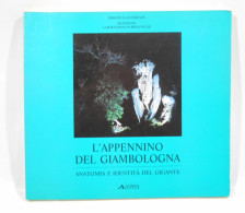 L Appennino Del Giambologna Ed. Alinea 1990 - Arts, Antiquity