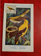 CARTE MAXIMUM 1960 OISEAU LORIOT JAUNE CACHET PRAHA - Covers & Documents