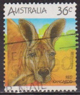 Animaux, Faune - AUSTRALIE - Kangourou - N° 964 - 1988 - Gebruikt