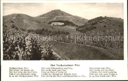 41771502 Neckarsulm Weinreben Mit Scheuerberg Neckarsulm - Neckarsulm