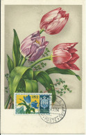 Carte Maximum - San Marino - Fleurs - Brieven En Documenten