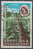 1963 Rhodesien & Nyasaland ° Mi:GB-RH 46, Sn:GB-RH 185, Yt:GB-RH 45, Tobacco Field - Rhodesia & Nyasaland (1954-1963)