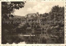 41744144 Bad Hersfeld Blick Auf Wigbertshoehe Schwanenteich Kupfertiefdruck Bad  - Bad Hersfeld