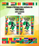 NIGER 2023 - IMPERF M/S 2V - FOOTBALL AFRICA CUP OF NATIONS COUPE D'AFRIQUE COTE D'IVOIRE - FLAGS ALGERIA ALGERIE - MNH - Copa Africana De Naciones