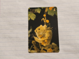 SINGAPORE-(50SIGA)-Common Dormouse-(138)(50SIGA-126460)($10)(1/1/1995)-used Card+1card Prepiad Free - Singapore