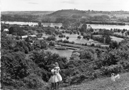 Le Cellier - Vue Sur La Vallée De La Loire Et Le Coteau De La Varenne - Le Cellier