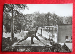 AK Crimmitschau Kunsteisstadion VEB Verlag Bildpostkarten Deutschland DDR Gelaufen Used Postcard A206 - Crimmitschau