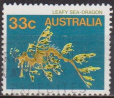 Poisson - AUSTRALIE - Faune Marine, Dragon Des Mers - N° 899 - 1985 - Usati