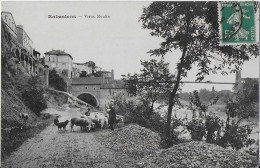 Rabastens Le Vieux Moulin  - Le Berger Et Ses Brebis - Rabastens