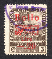 1920 1921 FIUME Rijeka Croatia Yugoslavia - Revenue Official Administrative LOCAL CITY Tax Stamp - Overprint - 0.2 / 3 L - Fiume & Kupa