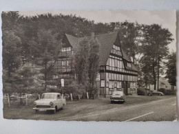 Marl-Sinsen, Waldrestaurant Halter-Pforte, Alte Autos, VW Käfer, 1965 - Marl