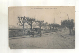16. Montmagny, Avenue Des Tilleuls  (CP Vendue Dans L'état (titi45)) - Montmagny